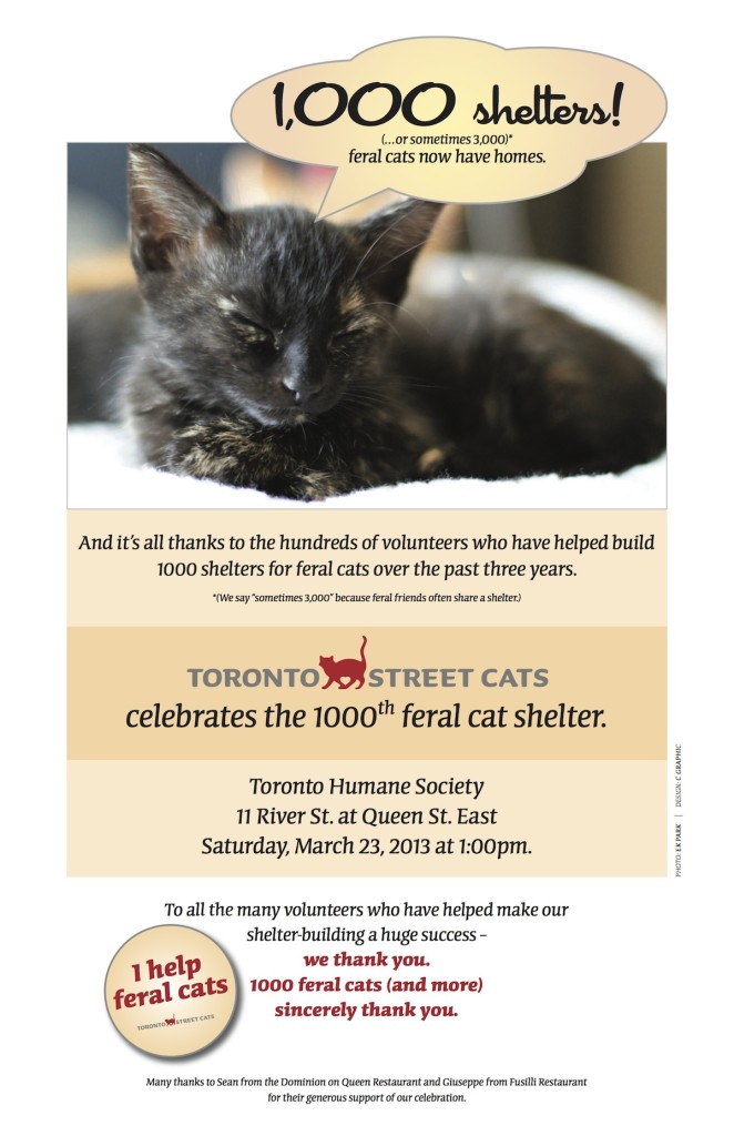 1000_Shelters_Celebration copy